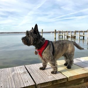 Meet your Posher, Laura